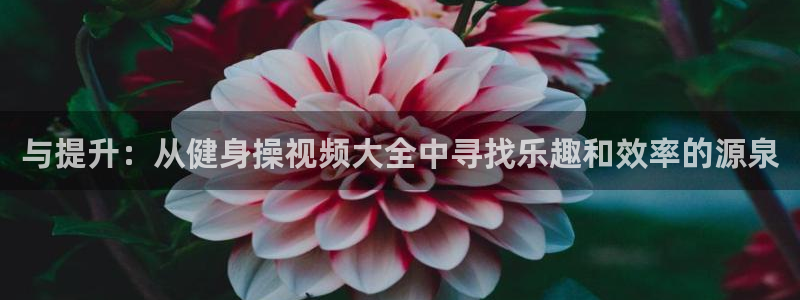 意昂2招商