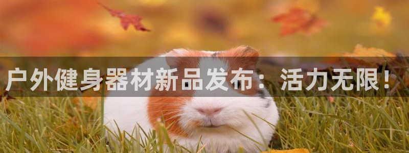 意昂2代理
