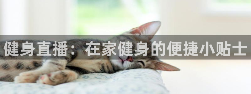 意昂2官网